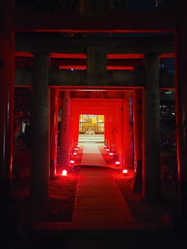 博多ライトアップウォーク実行委員会に投稿された画像（2024/11/4）