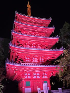 博多ライトアップウォーク実行委員会に投稿された画像（2024/11/4）