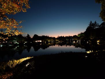 国営昭和記念公園 秋の夜散歩に投稿された画像（2024/11/4）