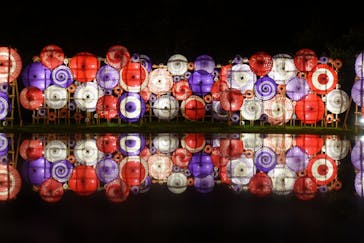 国営昭和記念公園 秋の夜散歩に投稿された画像（2024/11/4）