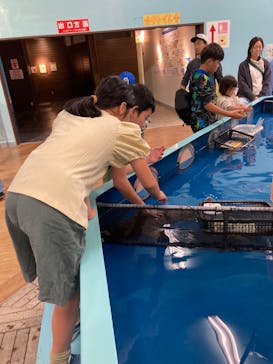 竹島水族館に投稿された画像（2024/11/4）