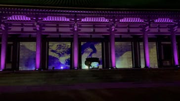 博多ライトアップウォーク実行委員会に投稿された画像（2024/11/4）