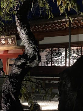 博多ライトアップウォーク実行委員会に投稿された画像（2024/11/4）