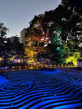 博多ライトアップウォーク実行委員会に投稿された画像（2024/11/4）