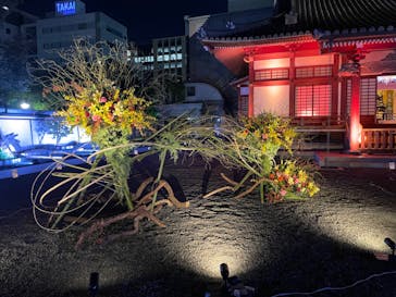 博多ライトアップウォーク実行委員会に投稿された画像（2024/11/4）