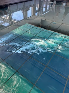 徳島県立 渦の道に投稿された画像（2024/11/4）