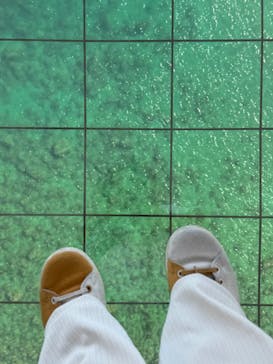 徳島県立 渦の道に投稿された画像（2024/11/4）