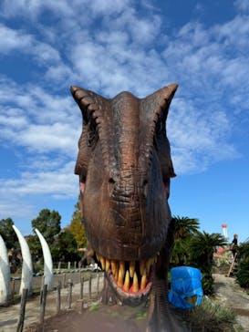 伊豆ぐらんぱる公園に投稿された画像（2024/11/4）