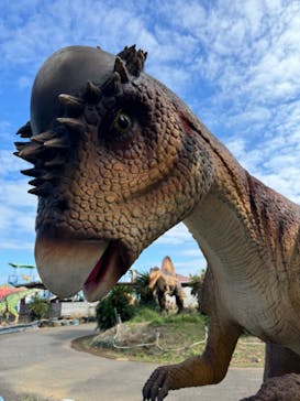 伊豆ぐらんぱる公園に投稿された画像（2024/11/4）