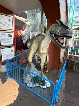 恵那峡ワンダーランドに投稿された画像（2024/11/4）