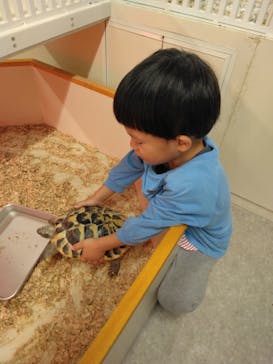 アニタッチ 東京ドームシティに投稿された画像（2024/11/4）