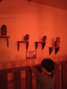 アニタッチ 東京ドームシティに投稿された画像（2024/11/4）