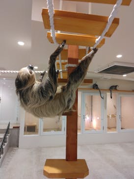 アニタッチ 東京ドームシティに投稿された画像（2024/11/4）