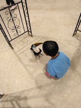 アニタッチ 東京ドームシティに投稿された画像（2024/11/4）