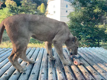 多摩動物公園に投稿された画像（2024/11/4）