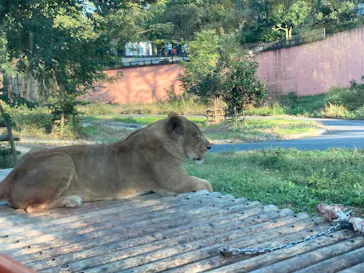 多摩動物公園に投稿された画像（2024/11/4）