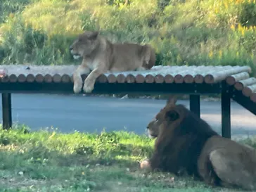 多摩動物公園に投稿された画像（2024/11/4）