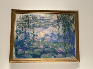 モネ 睡蓮のとき（国立西洋美術館）に投稿された画像（2024/11/4）