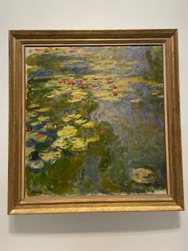 モネ 睡蓮のとき（国立西洋美術館）に投稿された画像（2024/11/4）