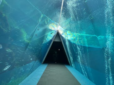 環境水族館アクアマリンふくしまに投稿された画像（2024/11/4）