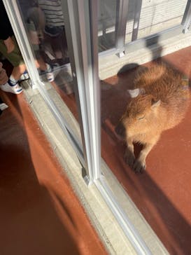竹島水族館に投稿された画像（2024/11/4）