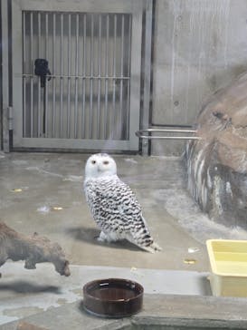 天王寺動物園に投稿された画像（2024/11/4）