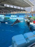 名古屋港水族館に投稿された画像（2024/11/4）