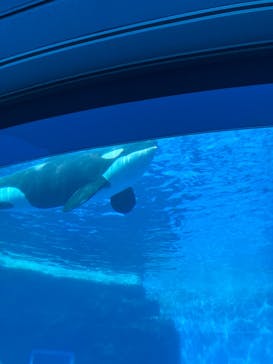 名古屋港水族館に投稿された画像（2024/11/4）