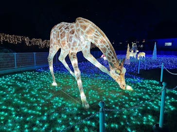東武動物公園に投稿された画像（2024/11/4）