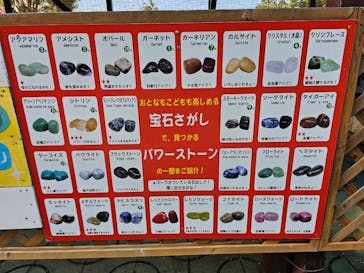 関西サイクルスポーツセンターに投稿された画像（2024/11/4）