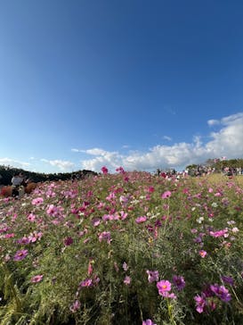 万博記念公園に投稿された画像（2024/11/4）