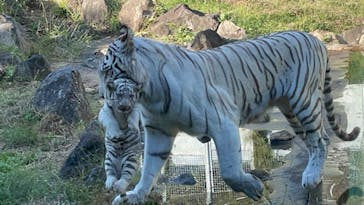 伊豆アニマルキングダムに投稿された画像（2024/11/4）