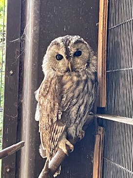 伊豆アニマルキングダムに投稿された画像（2024/11/4）