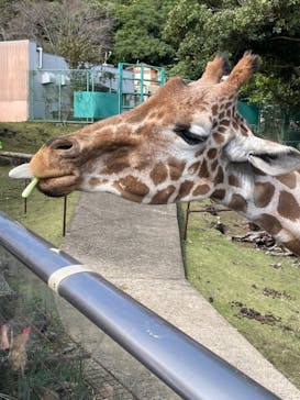 伊豆アニマルキングダムに投稿された画像（2024/11/4）