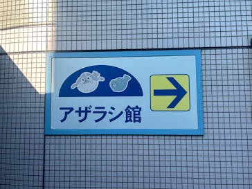 しながわ水族館に投稿された画像（2024/11/4）