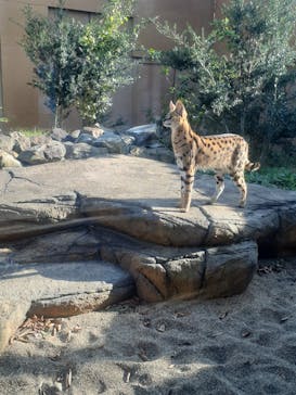 那須どうぶつ王国に投稿された画像（2024/11/4）