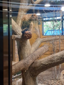 那須どうぶつ王国に投稿された画像（2024/11/4）