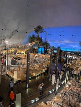 福井県立恐竜博物館に投稿された画像（2024/11/4）
