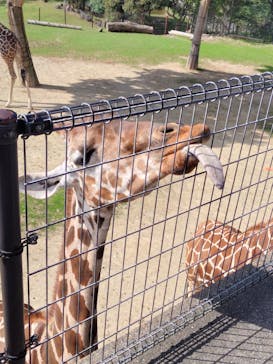 姫路セントラルパークに投稿された画像（2024/11/4）