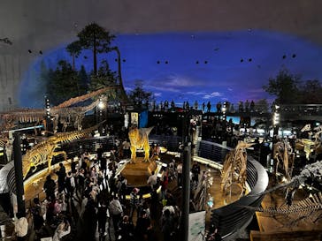 福井県立恐竜博物館に投稿された画像（2024/11/4）