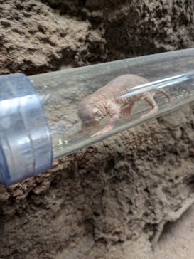 恩賜上野動物園に投稿された画像（2024/11/4）