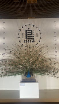 特別展「鳥 ～ゲノム解析が解き明かす新しい鳥類の系統～」国立科学博物館に投稿された画像（2024/11/4）