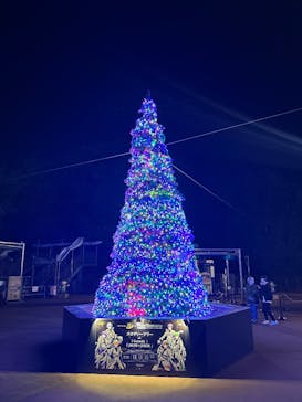 東武動物公園に投稿された画像（2024/11/4）