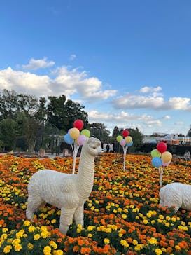 東武動物公園に投稿された画像（2024/11/4）