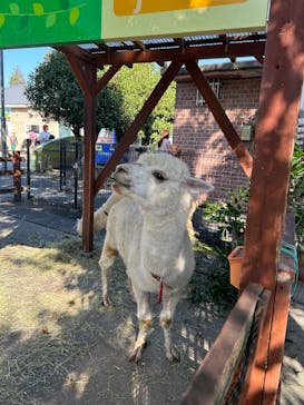 東武動物公園に投稿された画像（2024/11/4）