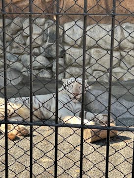 東武動物公園に投稿された画像（2024/11/4）