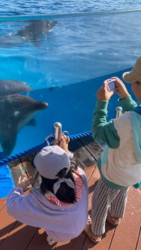 マリンワールド海の中道に投稿された画像（2024/11/4）