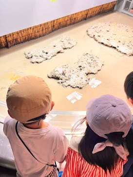 マリンワールド海の中道に投稿された画像（2024/11/4）