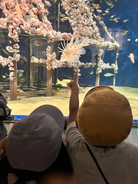 マリンワールド海の中道に投稿された画像（2024/11/4）