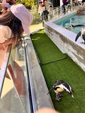 マリンワールド海の中道に投稿された画像（2024/11/4）